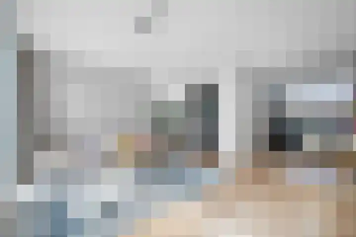 Koolmees 33 Emmen thumbnail 9