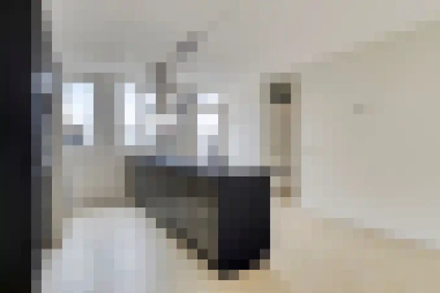 Koolmees 36 Hoorn thumbnail 10