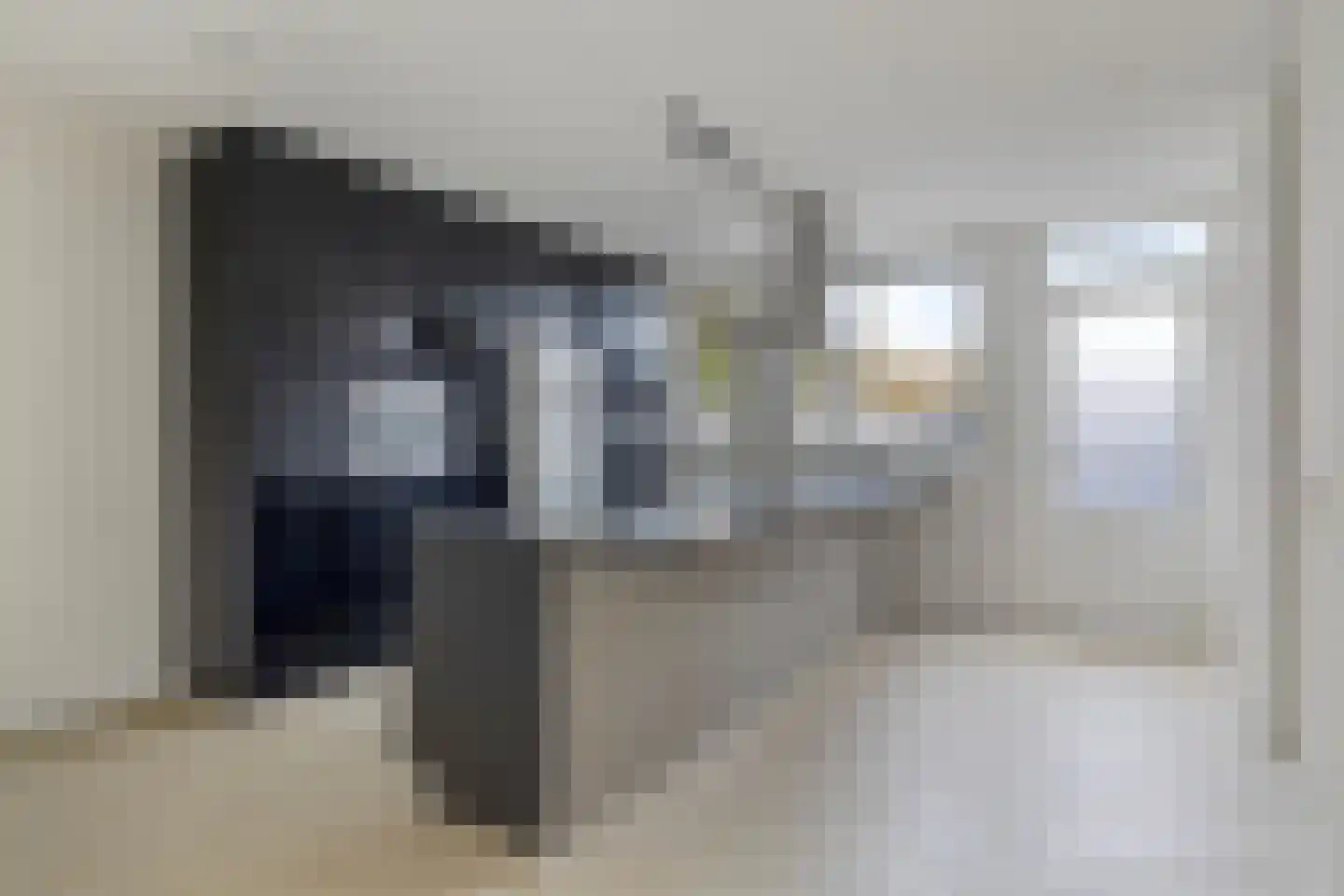 Koolmees 36 Hoorn thumbnail 11