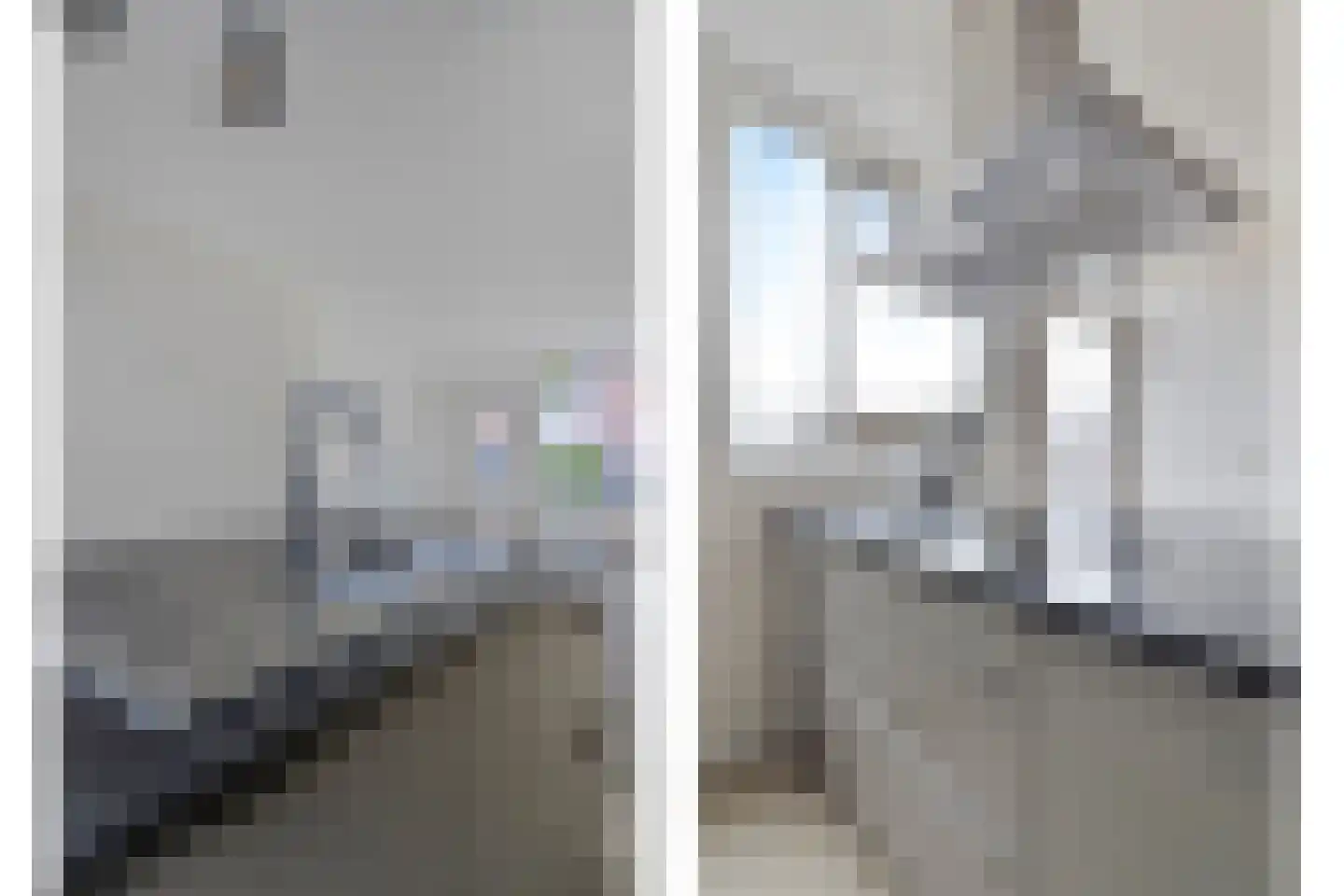 Koolmees 36 Hoorn thumbnail 12
