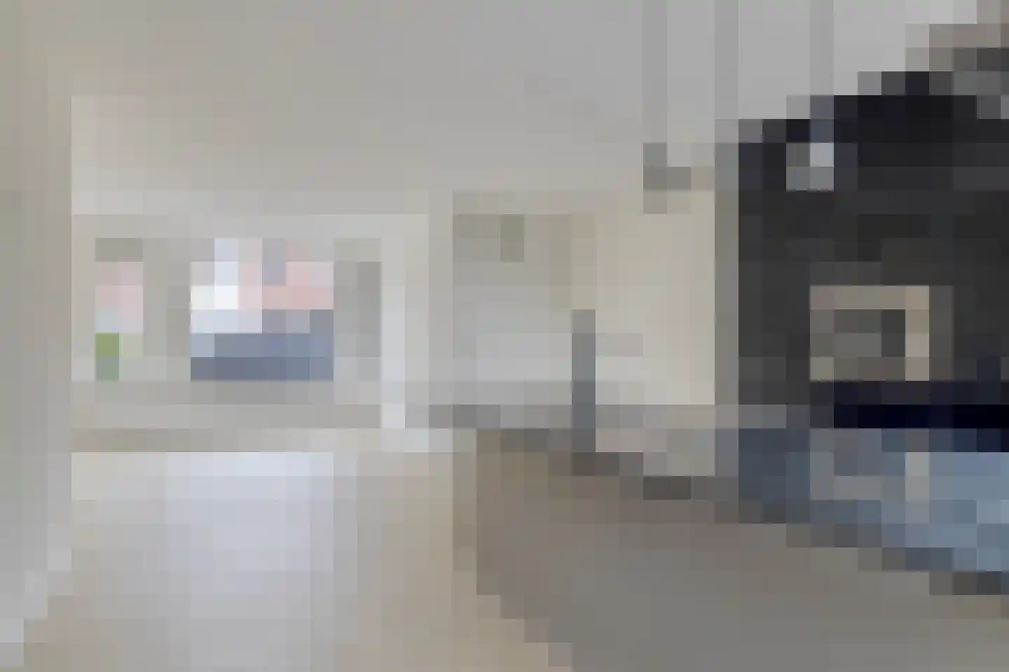 Koolmees 36 Hoorn thumbnail 13