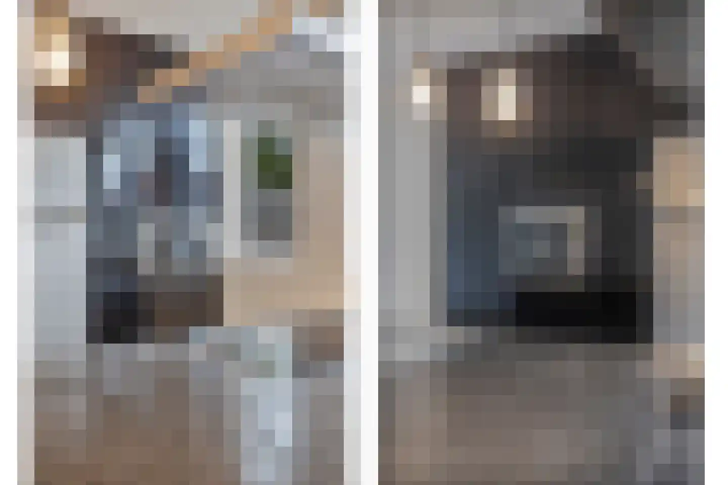 Koolmees 36 Hoorn thumbnail 14