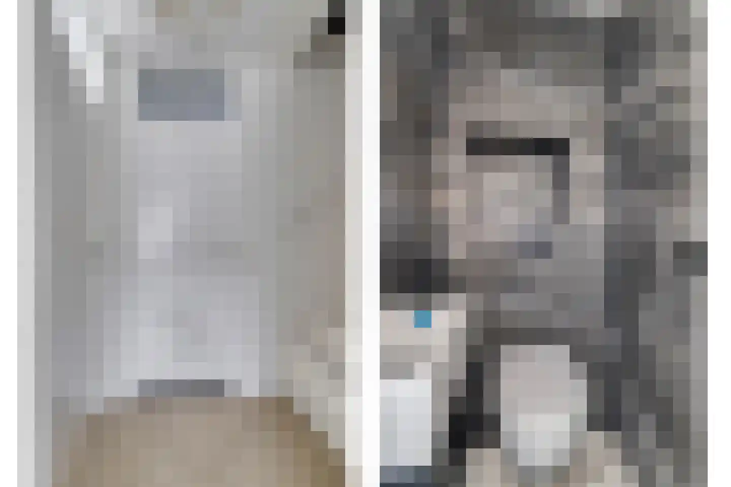 Koolmees 36 Hoorn thumbnail 16