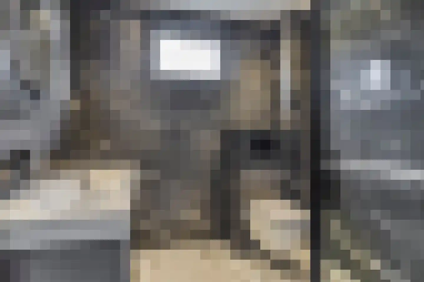 Koolmees 36 Hoorn thumbnail 19