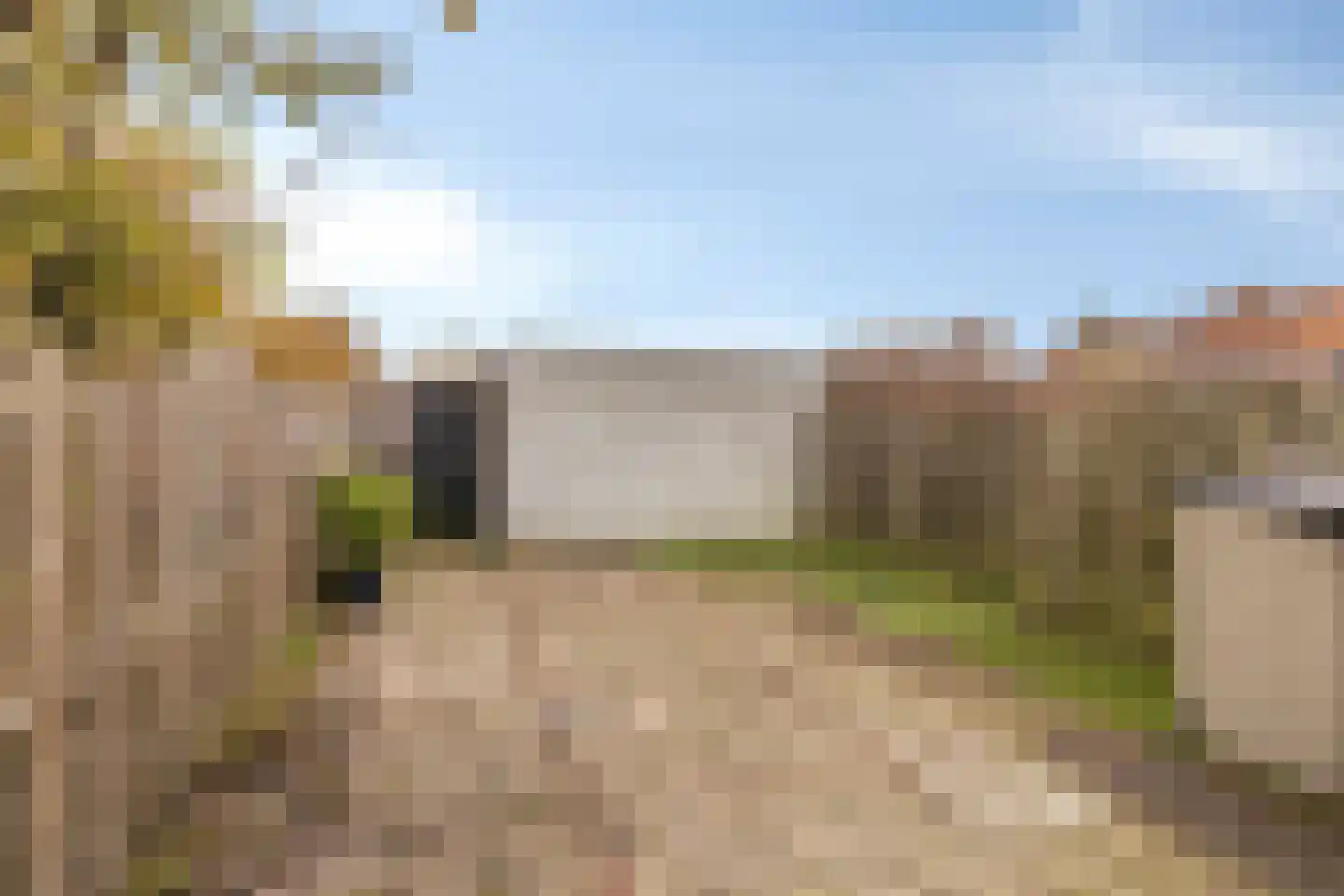 Koolmees 36 Hoorn thumbnail 27