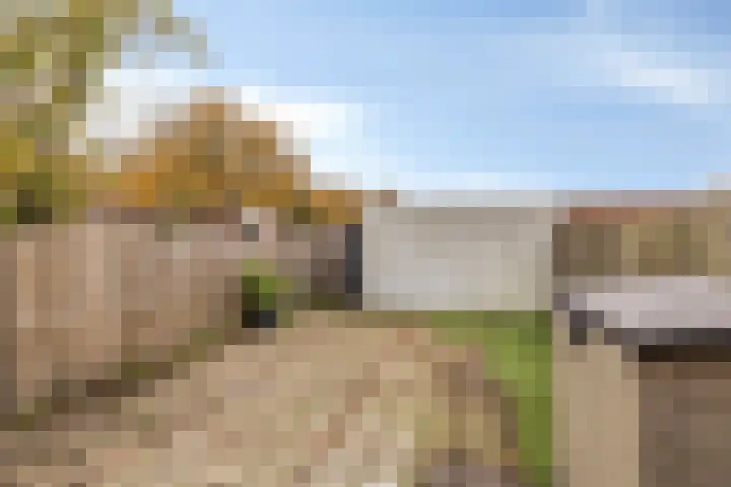 Koolmees 36 Hoorn thumbnail 28