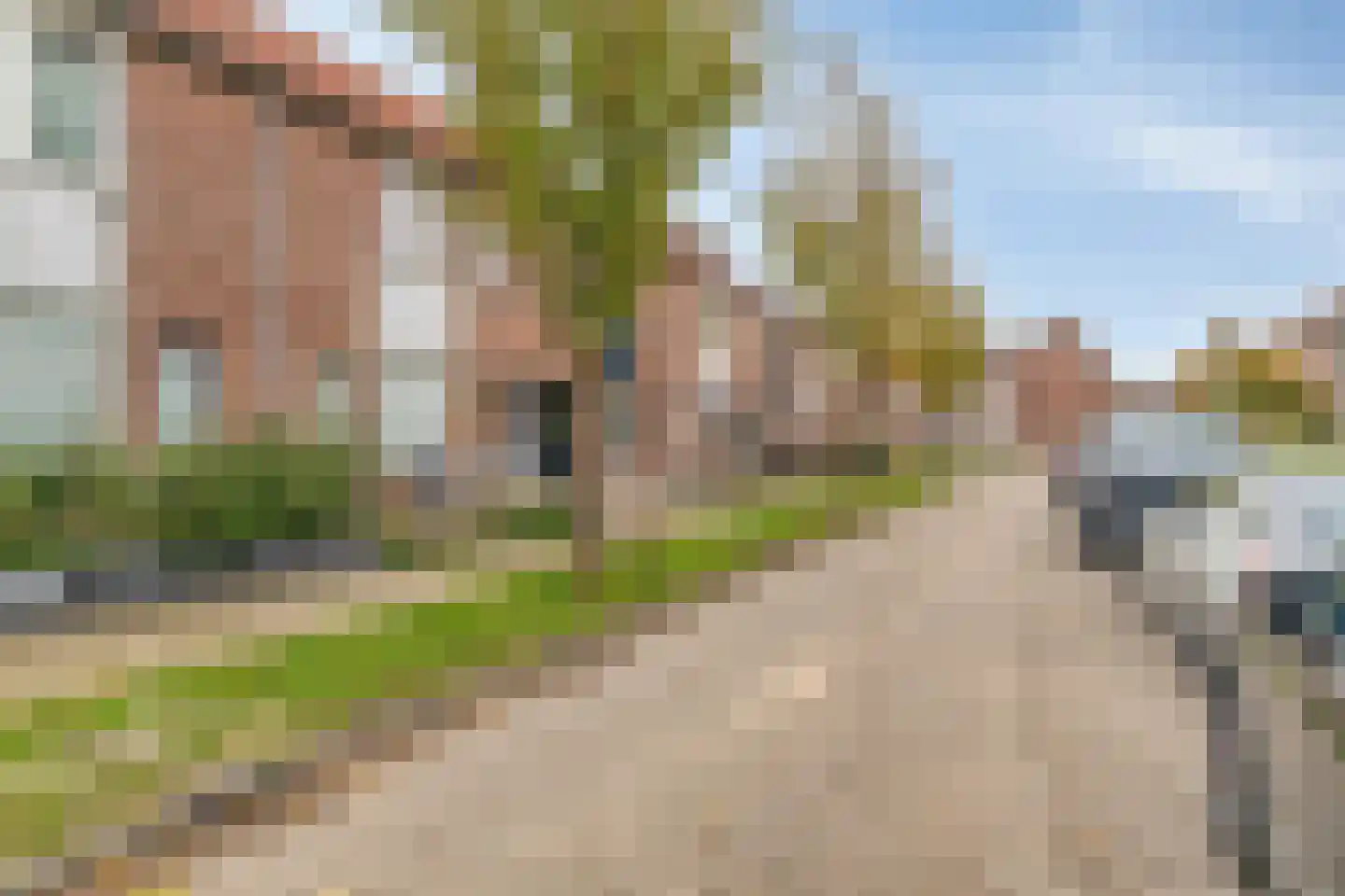 Koolmees 36 Hoorn thumbnail 29