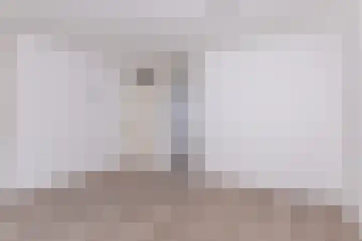 Koolmees 37 Hoorn thumbnail 10