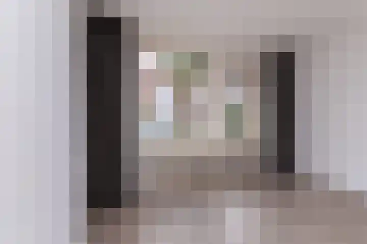 Koolmees 37 Hoorn thumbnail 11