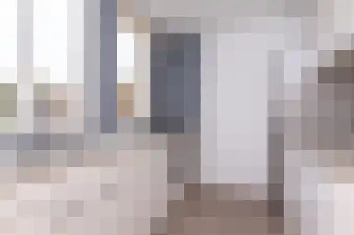 Koolmees 37 Hoorn thumbnail 16