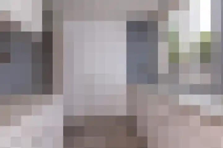 Koolmees 37 Hoorn thumbnail 17