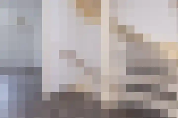 Koolmees 37 Hoorn thumbnail 19