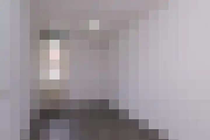Koolmees 37 Hoorn thumbnail 20