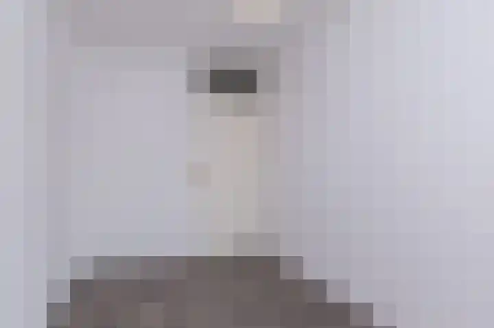 Koolmees 37 Hoorn thumbnail 21