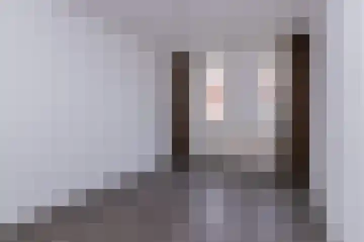 Koolmees 37 Hoorn thumbnail 22