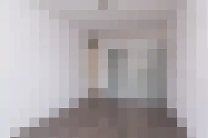 Koolmees 37 Hoorn thumbnail 23