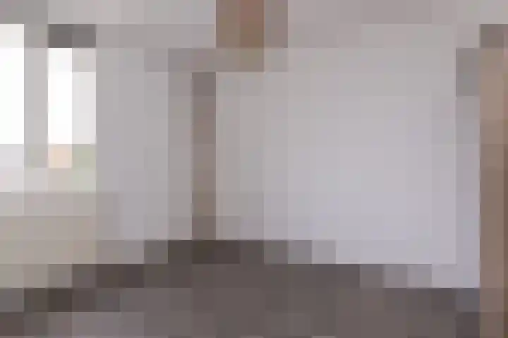 Koolmees 37 Hoorn thumbnail 24