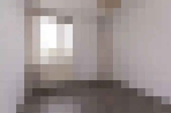 Koolmees 37 Hoorn thumbnail 25