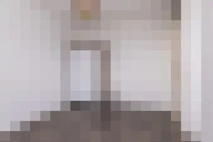 Koolmees 37 Hoorn thumbnail 26
