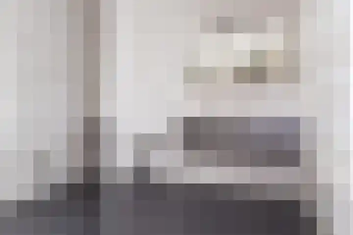 Koolmees 37 Hoorn thumbnail 28