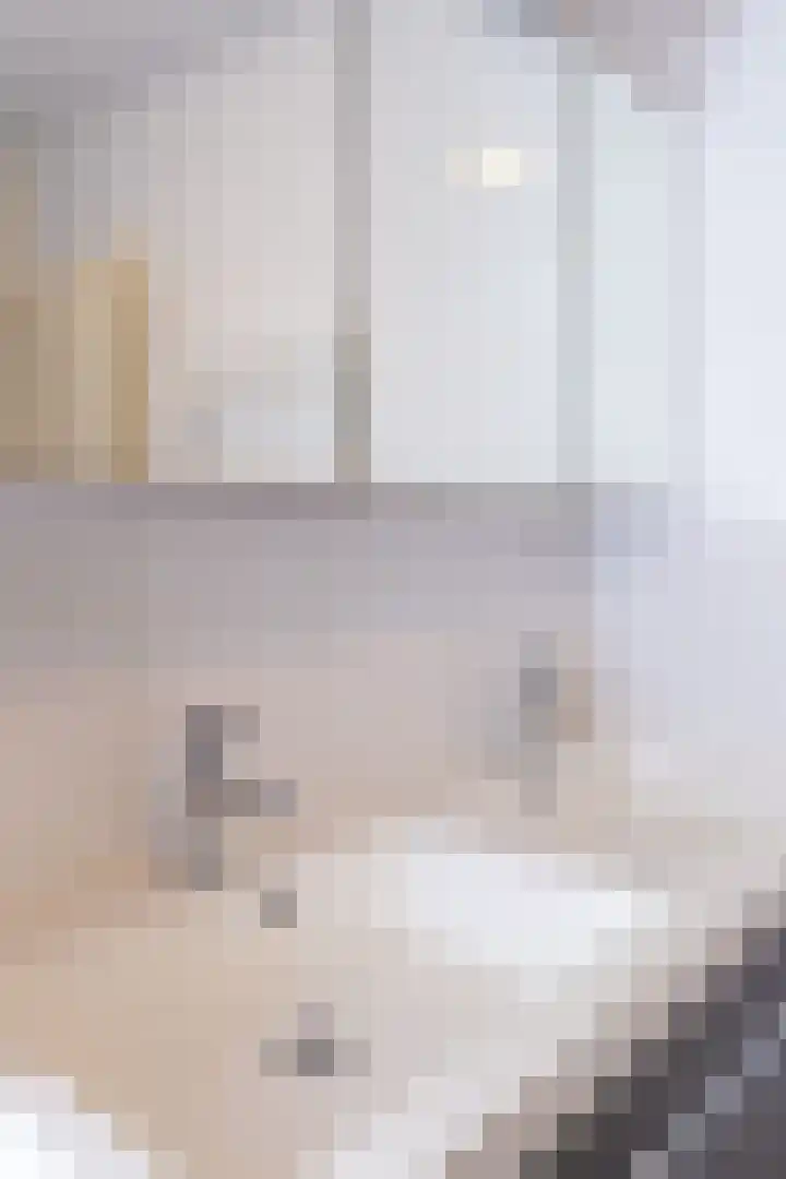 Koolmees 37 Hoorn thumbnail 30