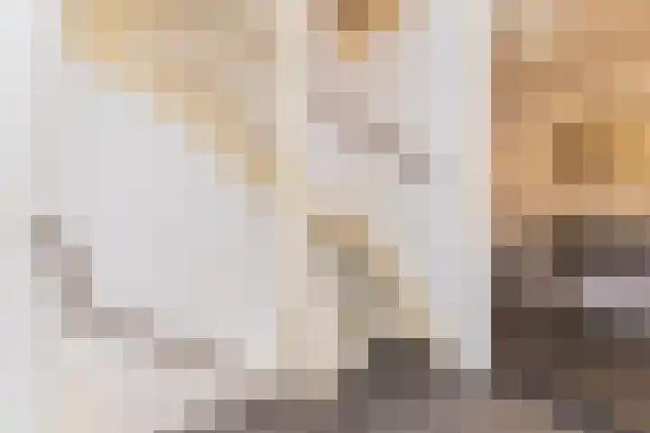 Koolmees 37 Hoorn thumbnail 31