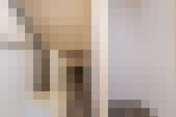 Koolmees 37 Hoorn thumbnail 32
