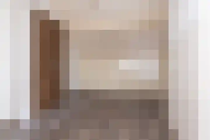 Koolmees 37 Hoorn thumbnail 34
