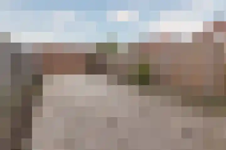 Koolmees 37 Hoorn thumbnail 35