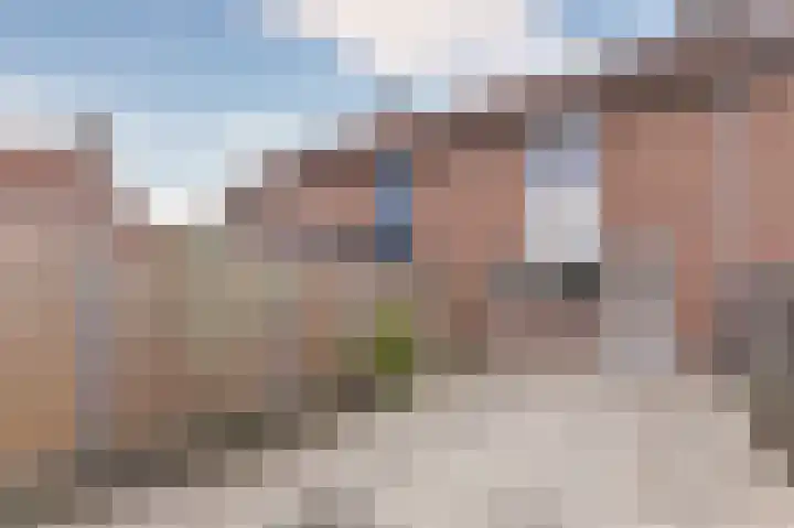 Koolmees 37 Hoorn thumbnail 36