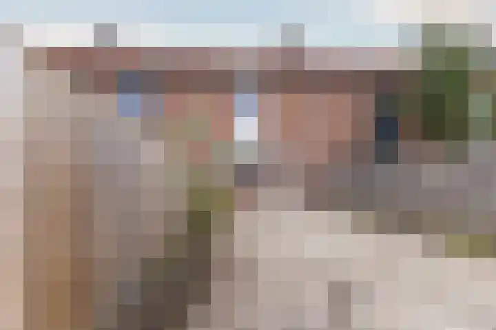 Koolmees 37 Hoorn thumbnail 37