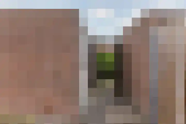 Koolmees 37 Hoorn thumbnail 38