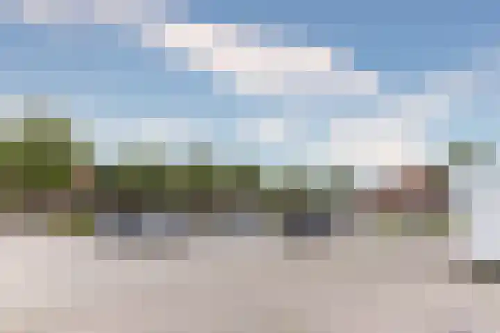 Koolmees 37 Hoorn thumbnail 39