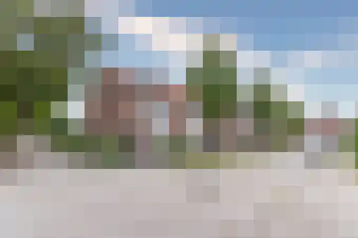 Koolmees 37 Hoorn thumbnail 4