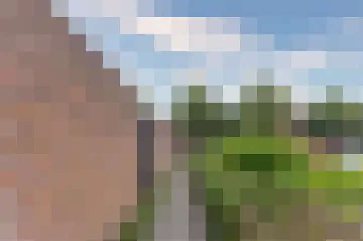 Koolmees 37 Hoorn thumbnail 40