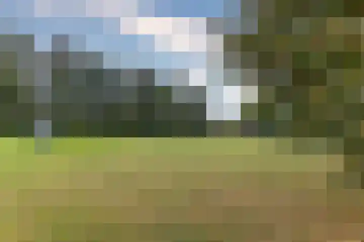 Koolmees 37 Hoorn thumbnail 42