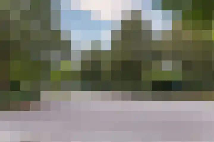 Koolmees 37 Hoorn thumbnail 44