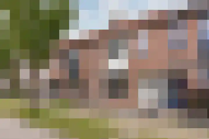 Koolmees 37 Hoorn thumbnail 5