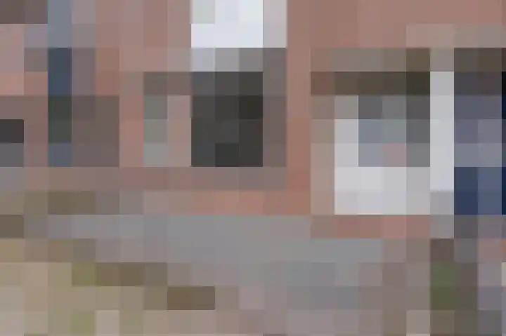 Koolmees 37 Hoorn thumbnail 7