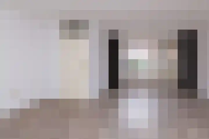 Koolmees 37 Hoorn thumbnail 8