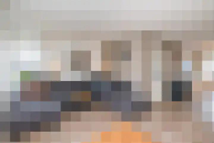 Koolmees 38 IJsselmuiden thumbnail 10
