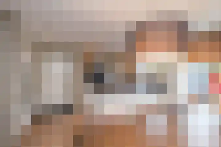 Koolmees 38 IJsselmuiden thumbnail 18