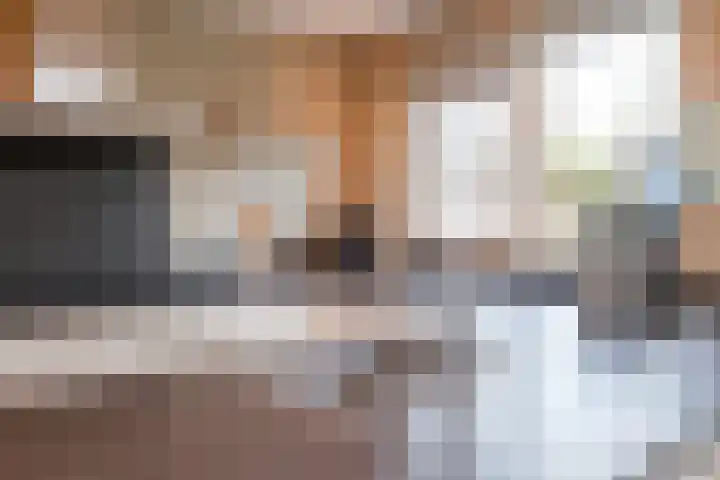Koolmees 38 IJsselmuiden thumbnail 20