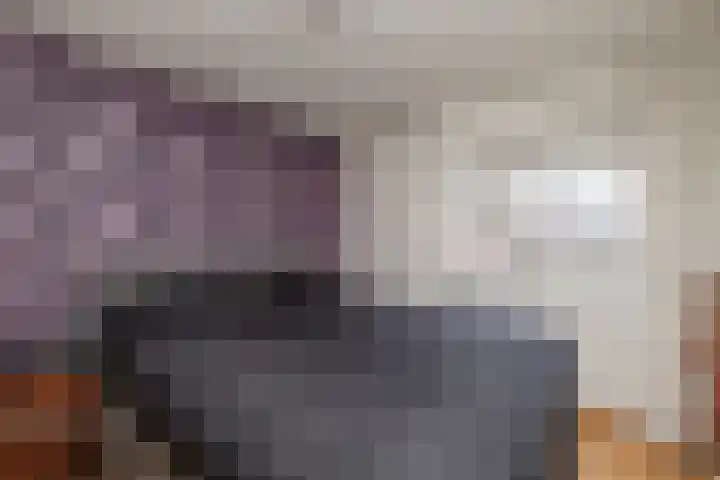 Koolmees 38 IJsselmuiden thumbnail 21