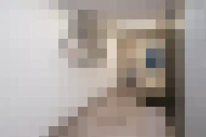 Koolmees 38 IJsselmuiden thumbnail 32