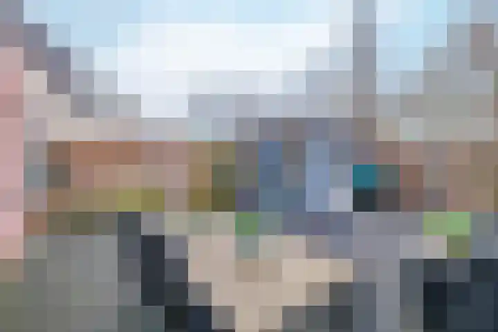 Koolmees 38 IJsselmuiden thumbnail 36