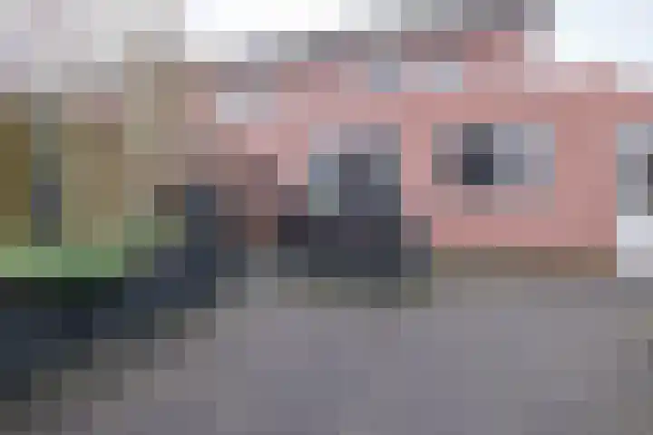 Koolmees 38 IJsselmuiden thumbnail 37