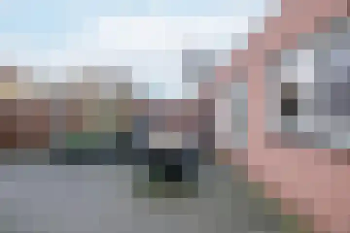Koolmees 38 IJsselmuiden thumbnail 38