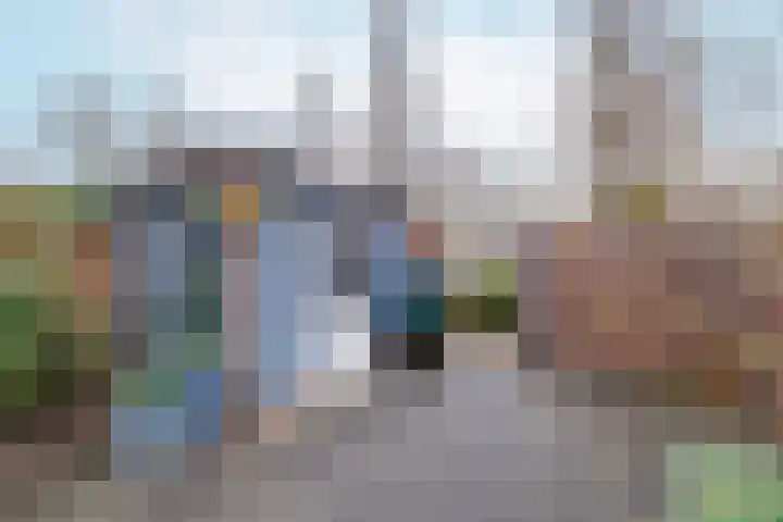 Koolmees 38 IJsselmuiden thumbnail 39