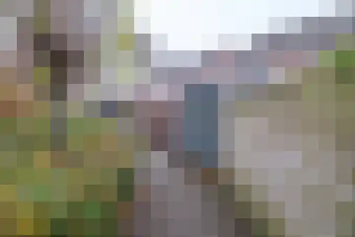 Koolmees 38 IJsselmuiden thumbnail 40